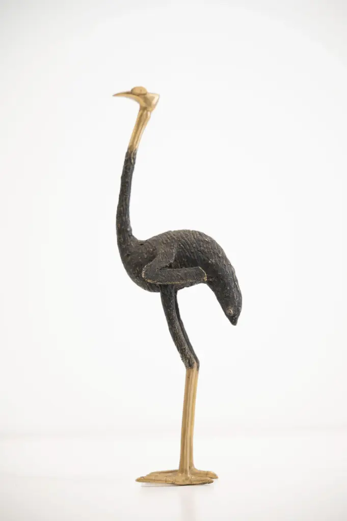 AUTRUCHE AFRICAINE VINTAGE  1