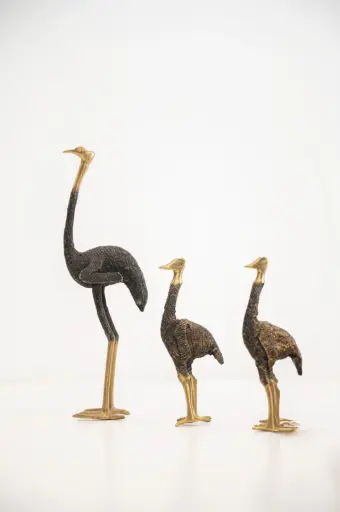 AUTRUCHE AFRICAINE VINTAGE  _TRIO
