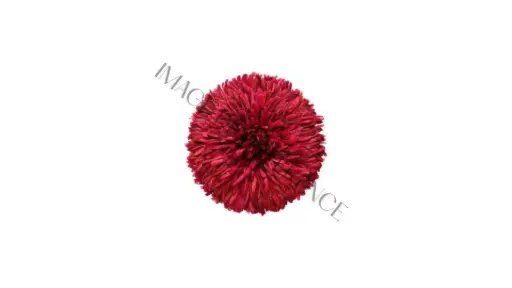 [JUJU_RC2] JUJU HAT - ROUGE CHINON 